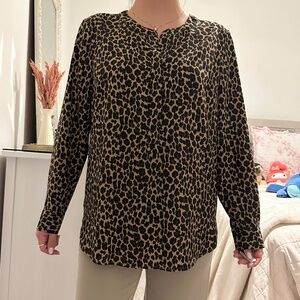 Leopard Long Sleeve V-cut Blouse | Business Casual